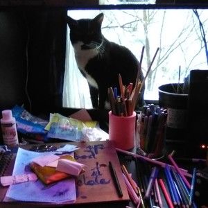 Meet your Posher, Matty